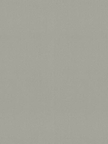 Jednokolorowy dekor SUIT JASNOSZARY F73036 marki Pfleiderer o drobnej strukturze ziarenek piasku