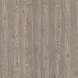 Dekor DĄB NELSON R20147 Pfleiderer w odcienach szarego drewna z widocznymi sękami oraz z mocnym plankowaniem