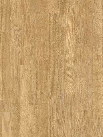 Dekor DĄB ZŁOCISTY KLEPKA R20302 Pfleiderer w kolorze słonecznego drewna o prążkowanej, pionowej teksturze
