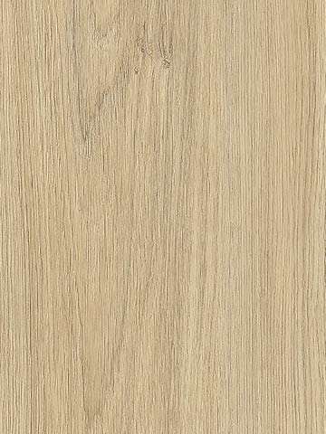 Dekor inspirowany naturą DĄB PUCCINI R20326 w stylu skandynawskiego drewna - Pfleiderer