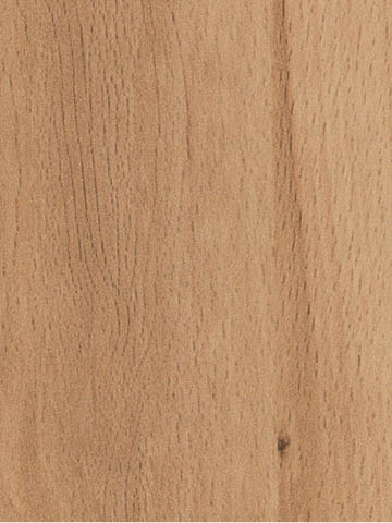 Dekor BUK CRENATA R24096 w miodowym kolorze o nieregularnym usłojeniu z małymi, ciemnymi sękami - Pfleiderer