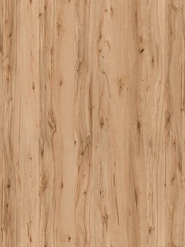 Dekor BUK CRENATA R24096 o nieregularnych słojach z malowniczymi sękami w ciepłych tonach drewna - Pfleiderer