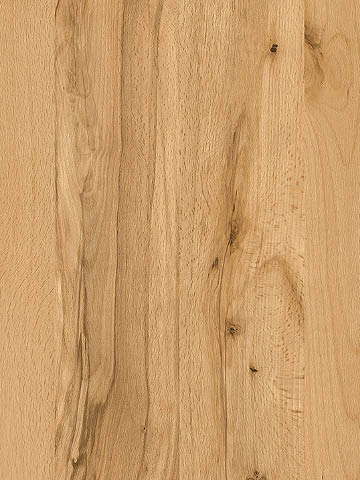 Dekor BUK CRENATA CIEMNY R24097 miodowym odcieniu drewna z niewielkimi brązowymi sękami, Pfleiderer