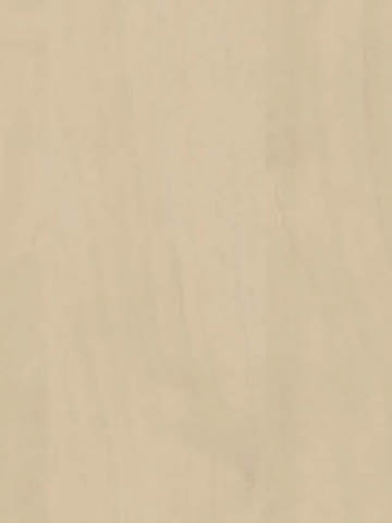 Dekor marki Pfleiderer BRZOZA WISŁA R35008 o prawie niewidocznej strukturze drewna w kolorze miodowego brązu