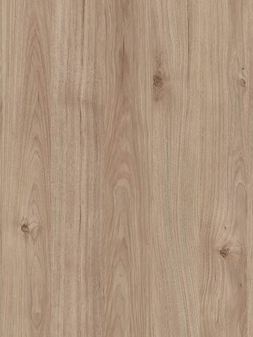 Dekor JACKSON HICKORY R48041 w kolorze naturalnego, jasnego drewna marki Pfleiderer