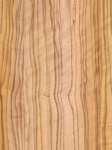 Dekor OLIWKA ESPANA R50030 Pfleiderer w kremowym kolorze z drewna oliwnego z liniowymi porami