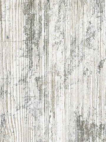 Dekor firmy Pfleiderer SOSNA BIELONA R55031z wyraźnie postarzoną strukturą drewna w kolorze złamanej bieli