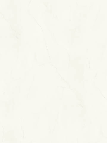 Jednobarwny dekor INDIA WHITE S63045 to delikatna biel z minimalistycznym wzorem marmuru, marka Pfleiderer
