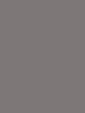 Jednobarwny dekor SZARY SHARKY U12091 o gładkiej strukturze w odcieniu ciemnej szarości - Pfleiderer