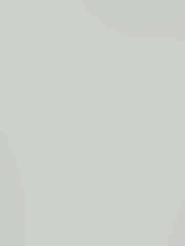 Jednobarwny dekor marki Pfleiderer SZARY U12190 w jasnoszarym kolorze i gładkiej, płaskiej powierzchni