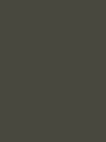 Jednobarwny dekor SZARY GRAFIT U12257 w ciemnym, neutralnym kolorze szarym o gładkiej strukturze - Pfleiderer