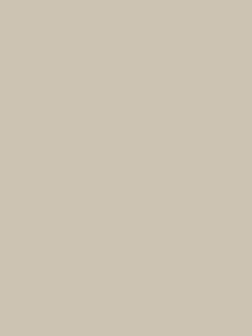 Jednobarwny dekor CHŁODNY BEŻ U15331 marki Pfleiderer o równej powierzchni w kolorze jasnego beżu z zimnymi tonami
