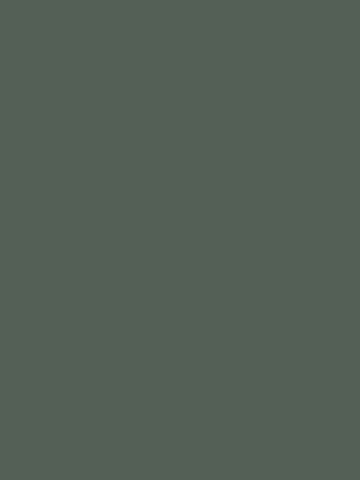 Dekor ZIELEŃ BUTELKOWA U19016 o jednolitej barwie i głębokim, intensywnym odcieniu zieleni marki Pfleiderer