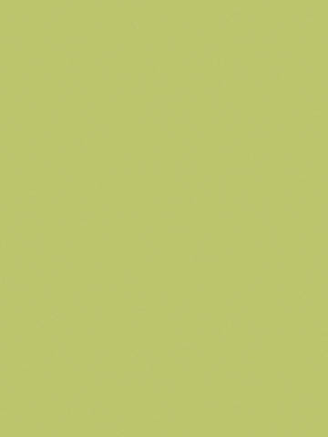 Dekor jednokolorowy CARAMBOLA U19500 o jasnej, pastelowej i ciepłej zielonej barwie, marka Pfleiderer